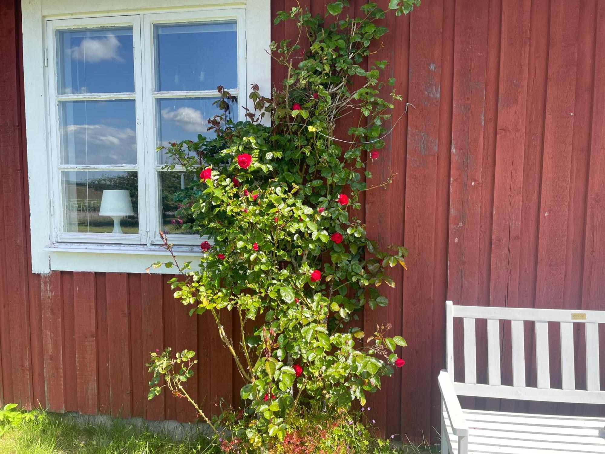 Kapelludden Oestra Oeland Villa Kopingsvik Exterior photo